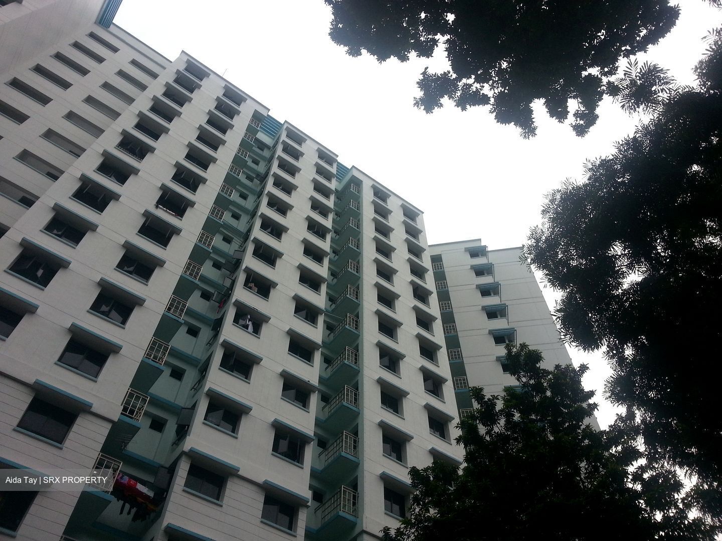 Yung Sheng Road (Jurong West),  #603862621